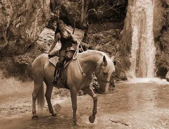 EquiTerre