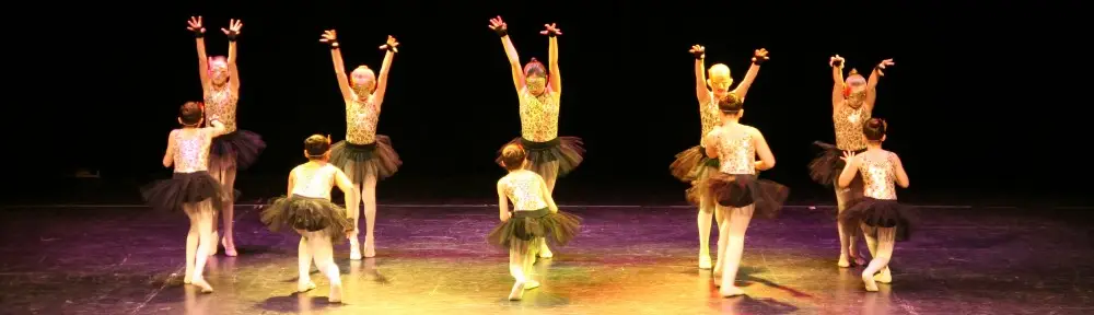 Artemis Dance Studio