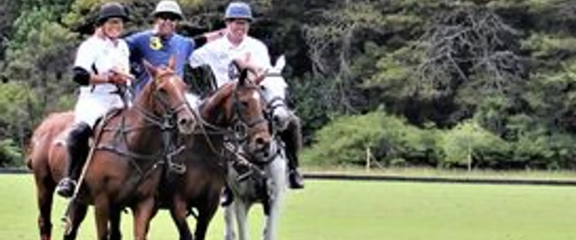 Auckland Polo Club Inc