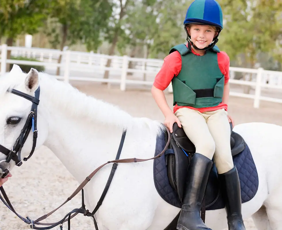 Icknield Livery Yard & Riding School