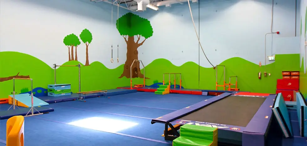 LeapFrog Gymnastics