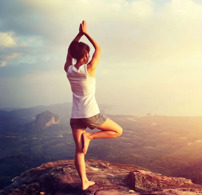 The Yoga Lounge
