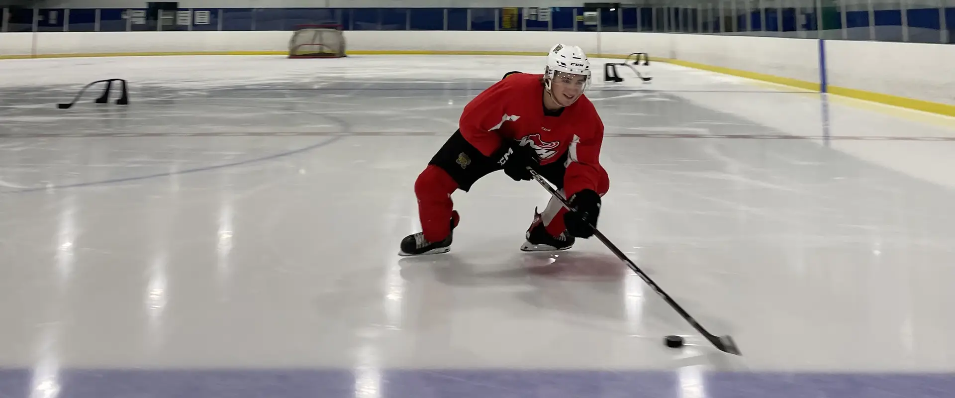 Elite Skating & Hockey Development