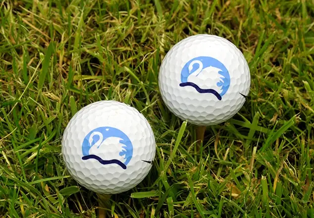 Peterstone Lakes Golf Club