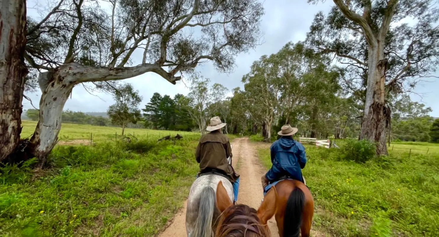Tempo Horsemanship