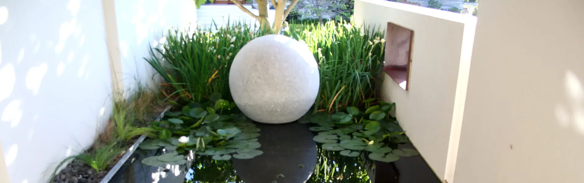 Get Wet Ponds and Aquariums