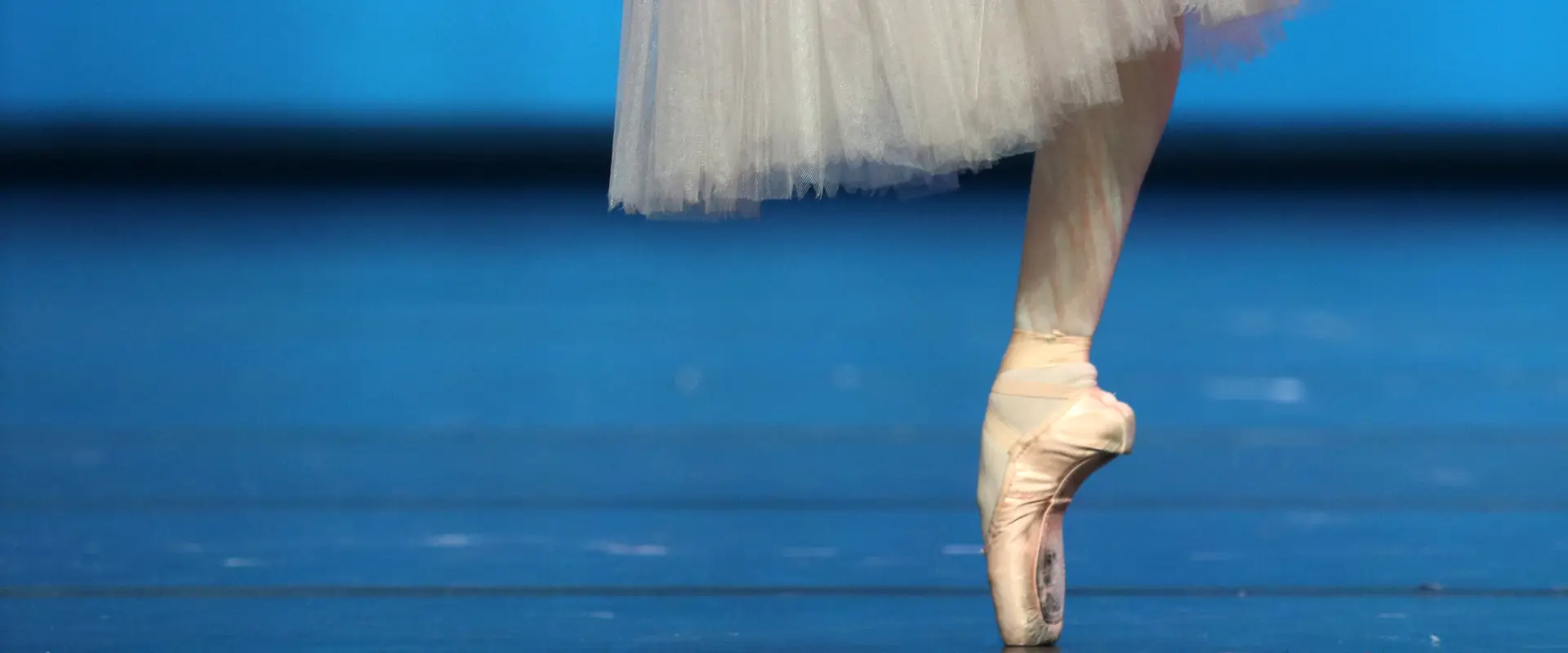 Terpsichore Studio for Dance