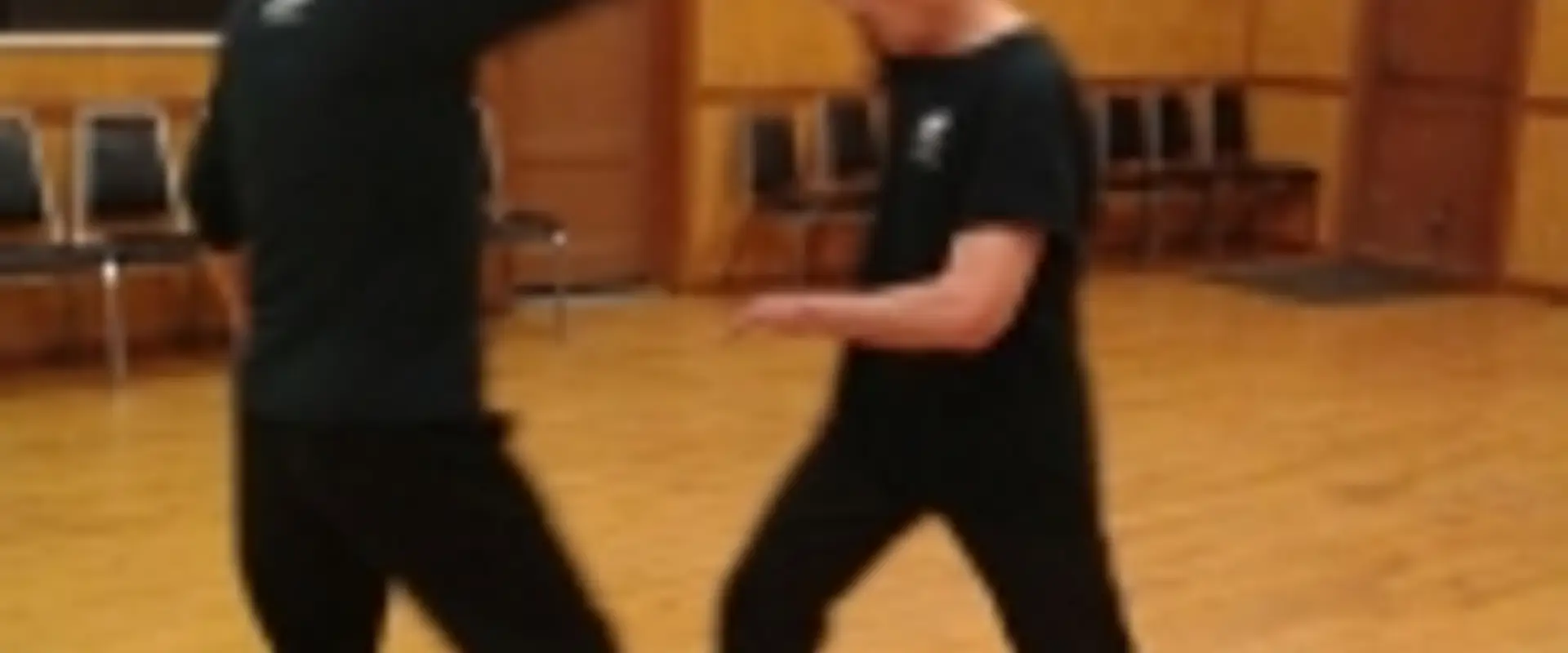 Leung's Yang Tai Chi