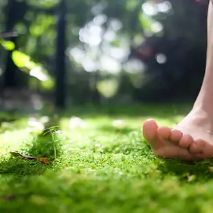 Sage Yoga Dance
