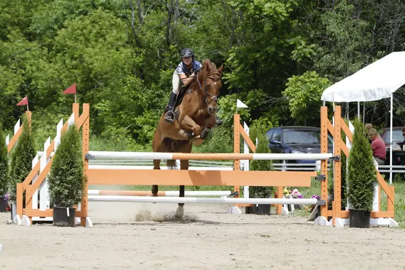 Equestrian Center Ste-Foy