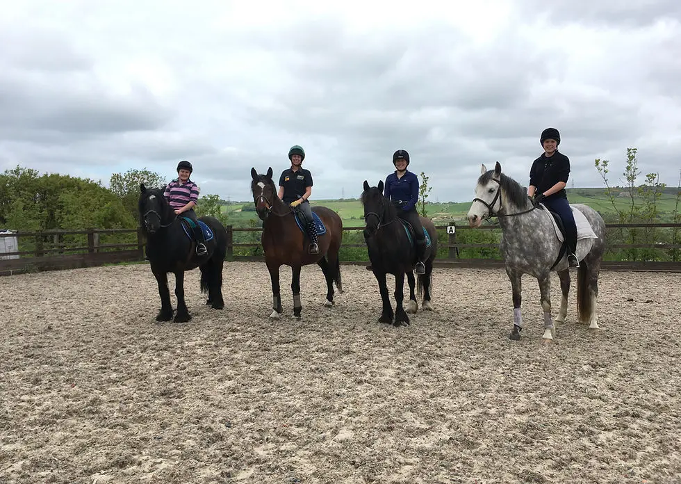 Sheffield Equestrian Centre