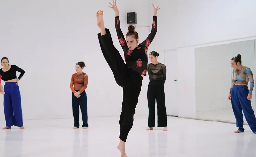 Les Schini's Compagnie Danse Contemporaine À Bordeaux