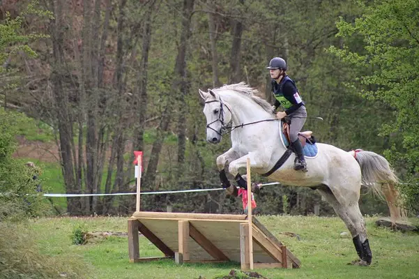 Stables Jump Des Vosges