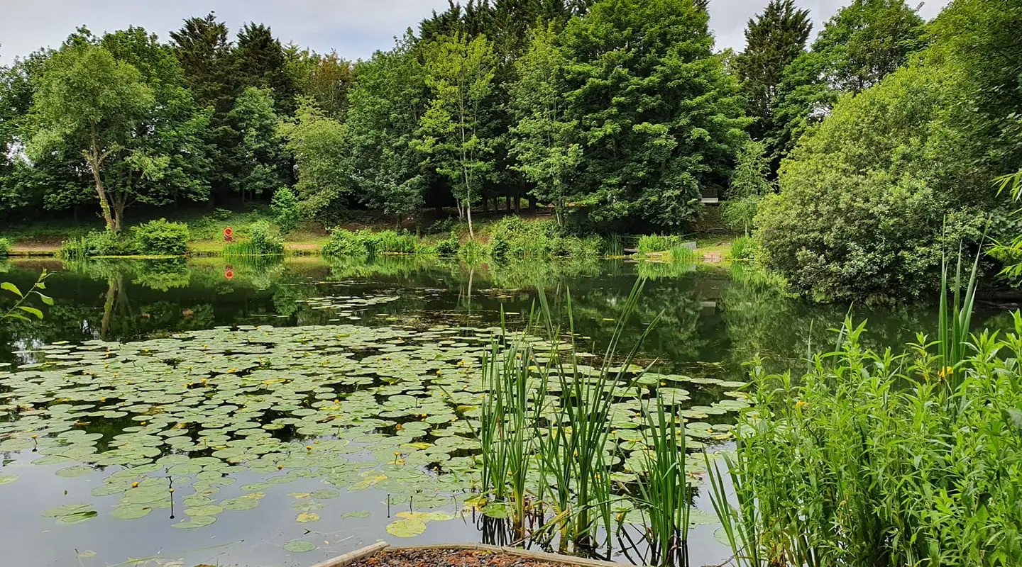 Lido (alcove angling)