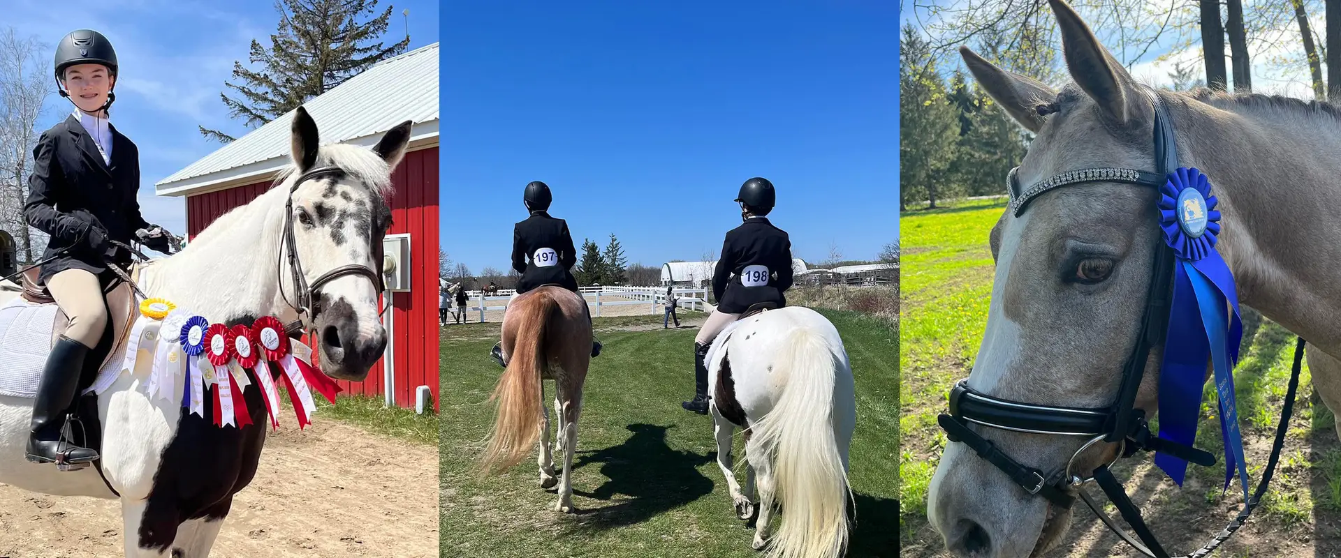 Riverview Stables
