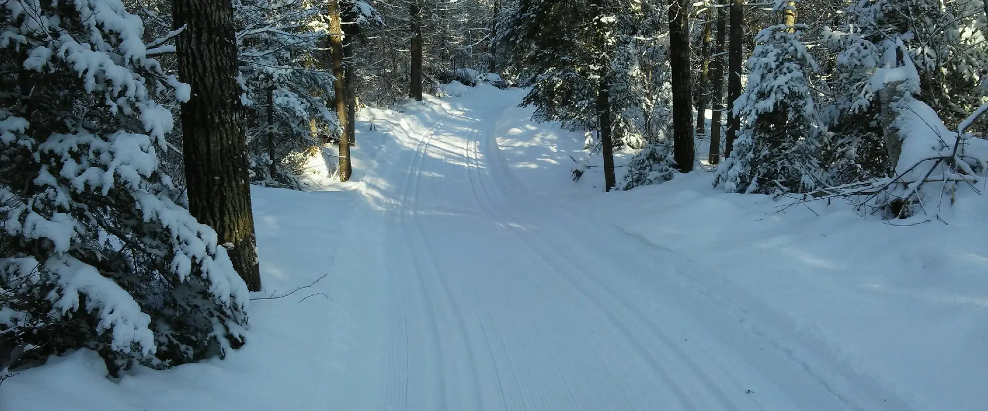 Club de Ski Norfond