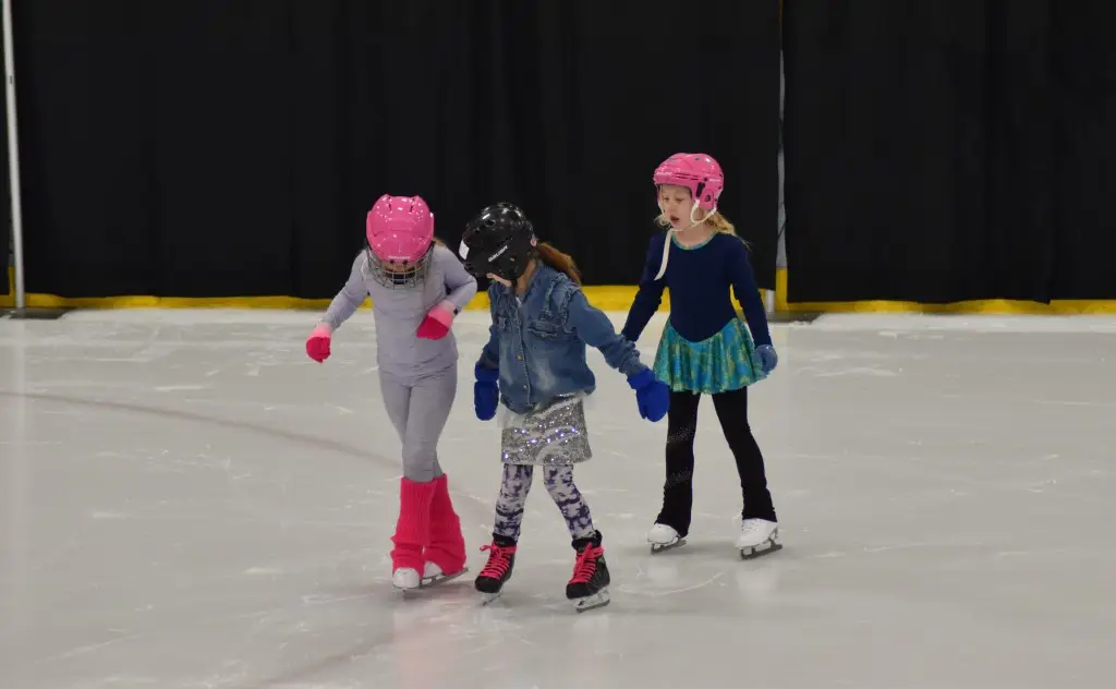 100 Mile House & District Figure Skating Club