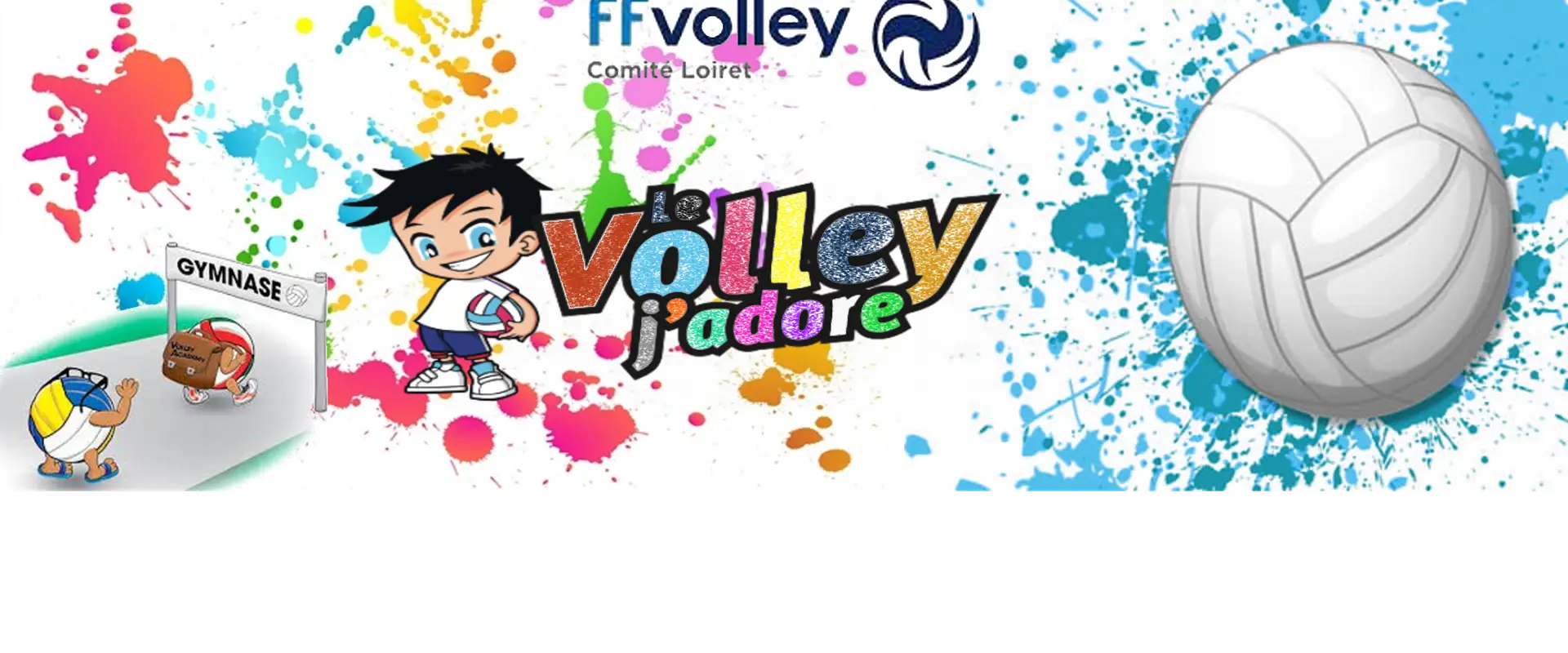Comité Départemental de Volley Ball du Loiret