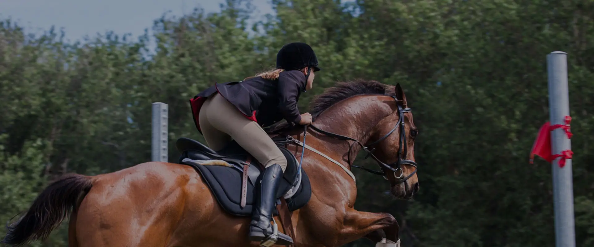 Paloma Equestrian Centre