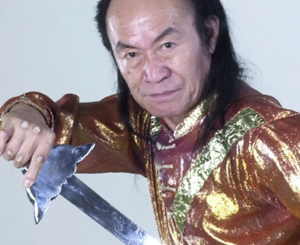 Iron & Silk Kung Fu