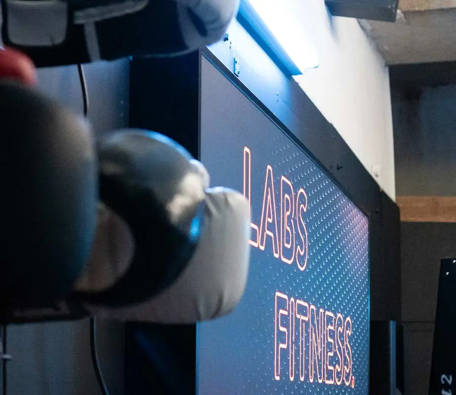 Labs Fitness
