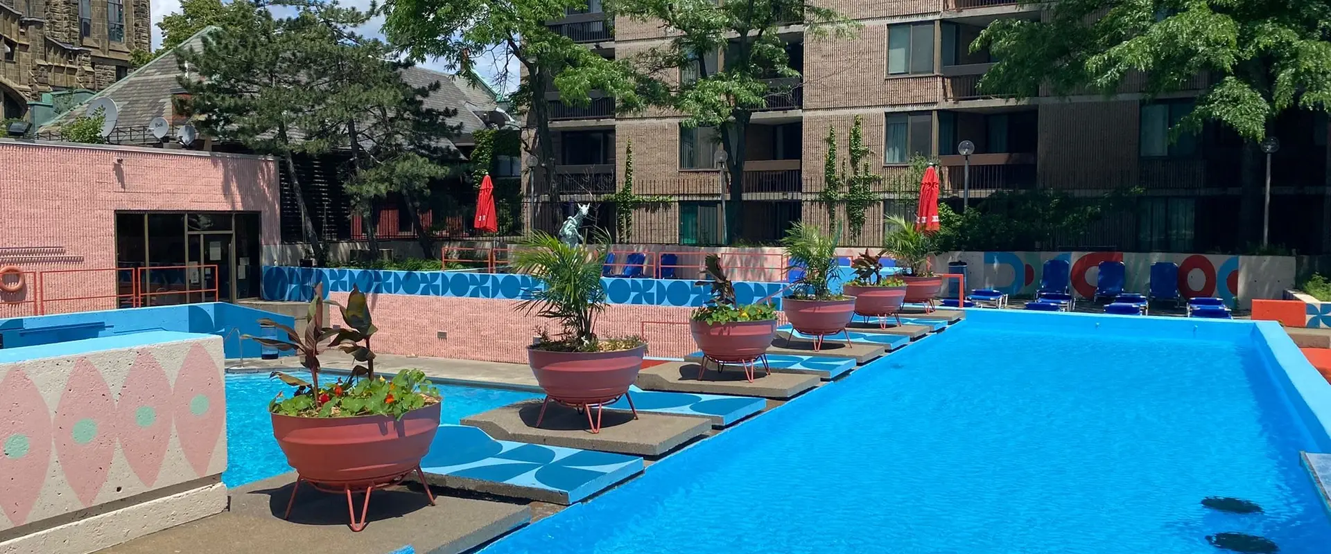 piscine La Cit