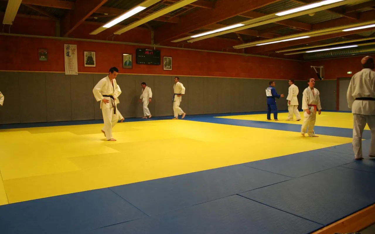 Kodokan Gemozac