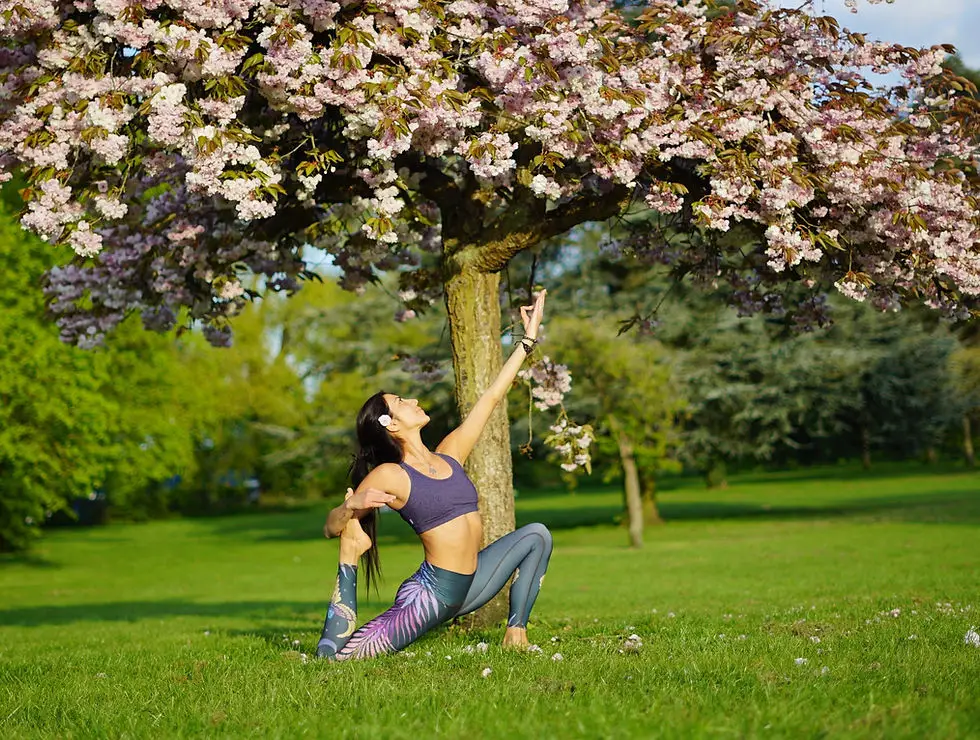 Yoga Blissipline