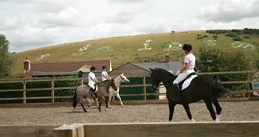 SMS Equestrian