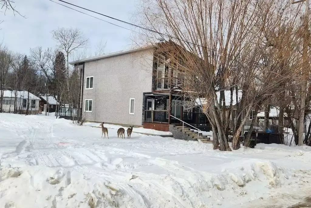 Cabin & Cottage Rentals Manitoba INC.