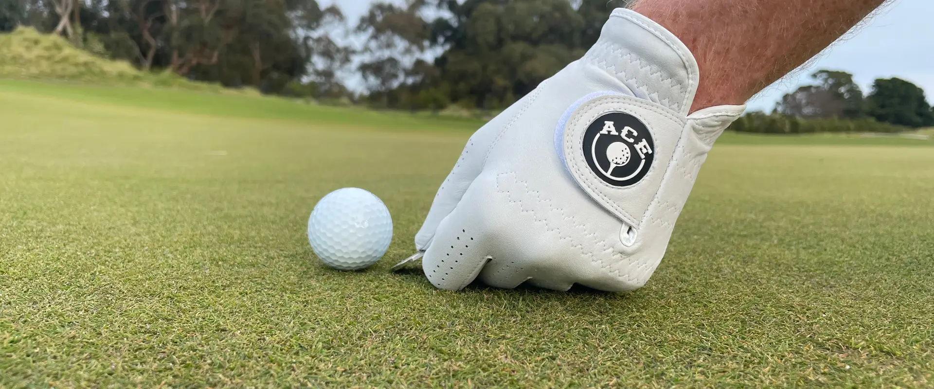 Ace Golf