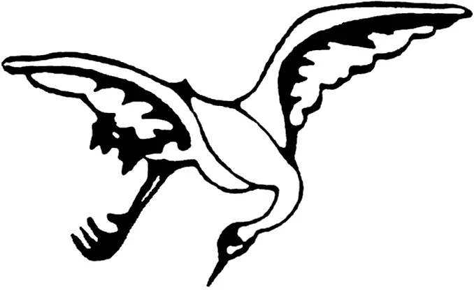 Crane Fist Kung Fu