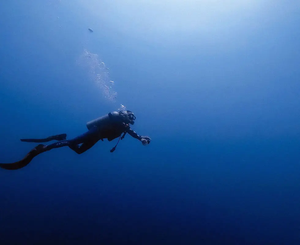 Performance Diver