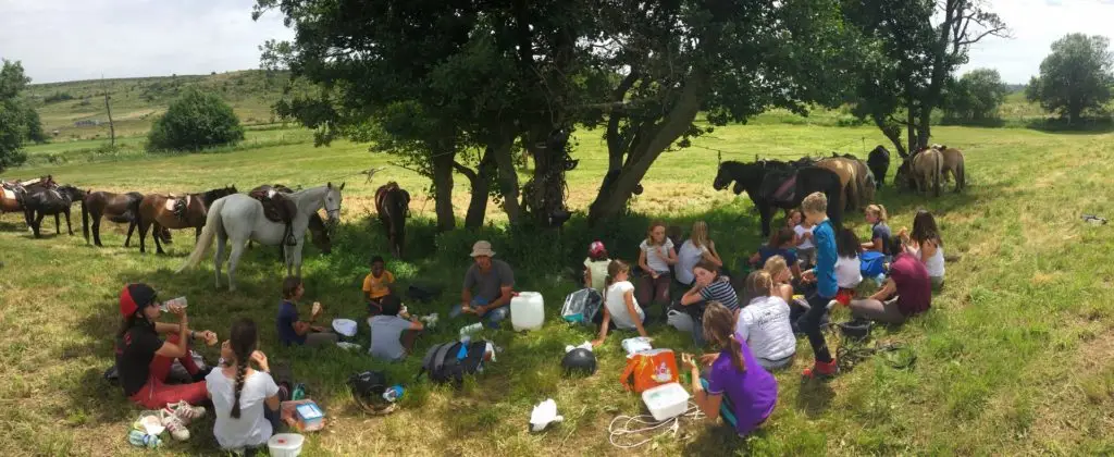 Horse Farm Des Monts Aubrac