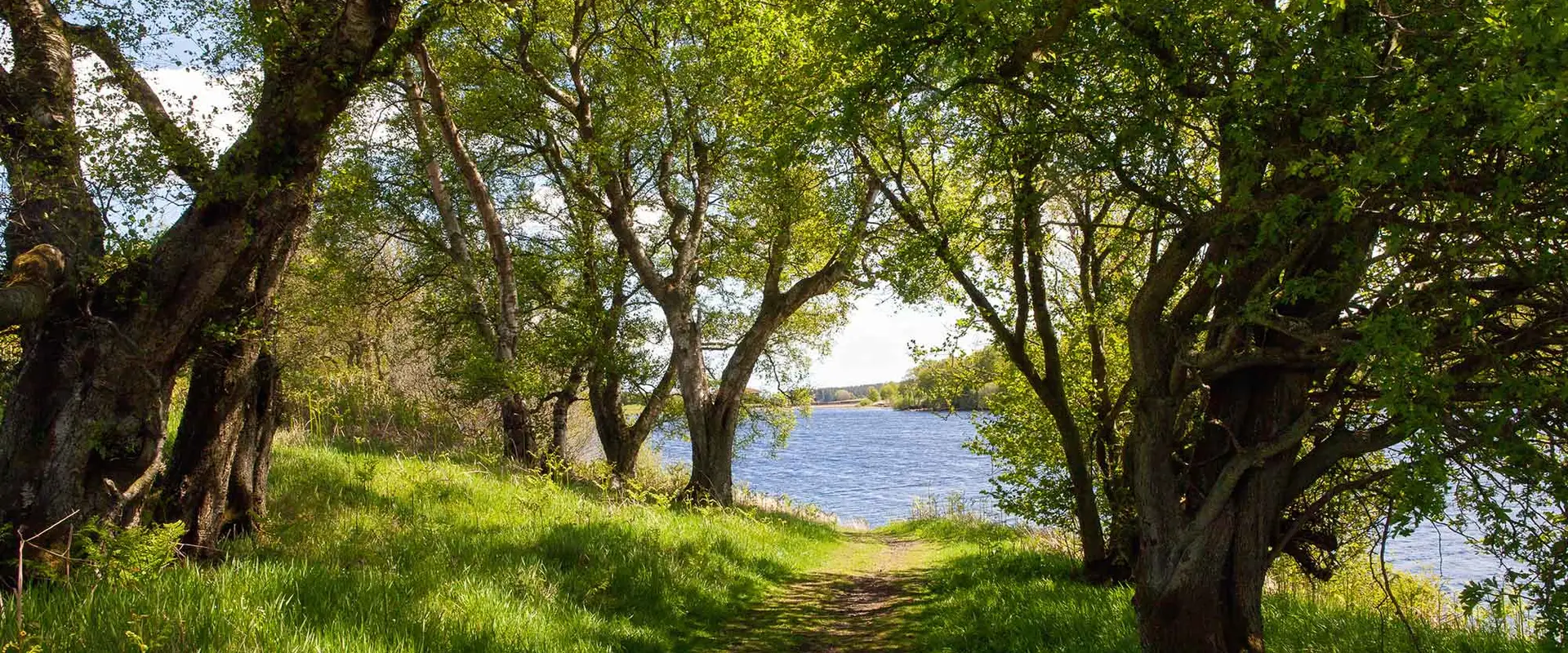 Fontburn Reservoir Fisheries