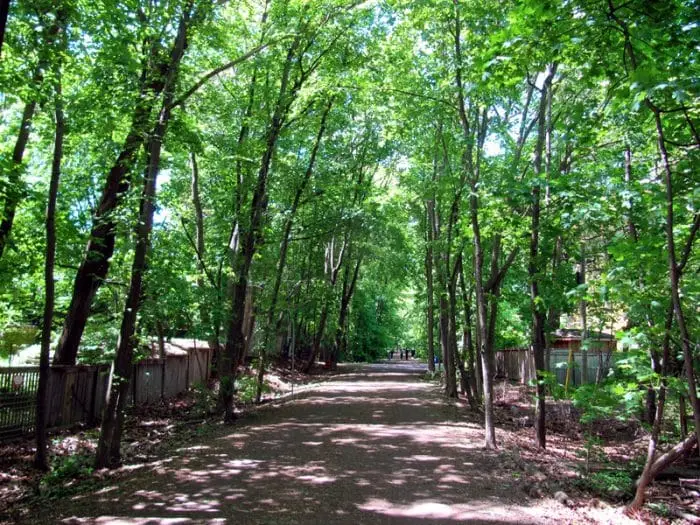 The Beltline Trail