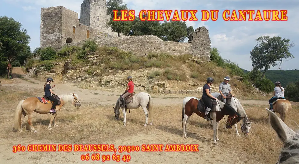 Les Chevaux Du Cantaure