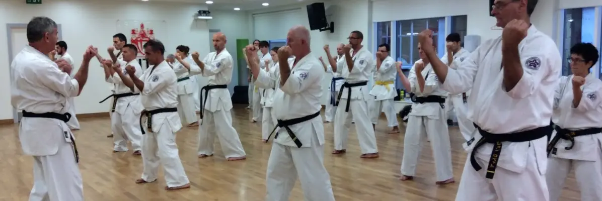 Shidokan GB