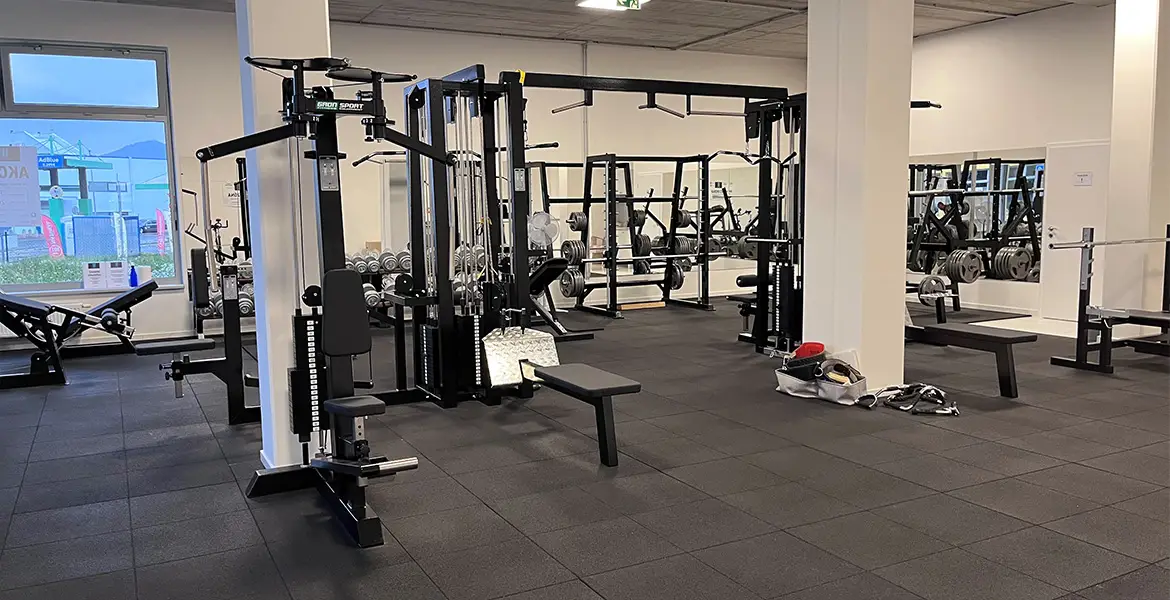 Danies gym