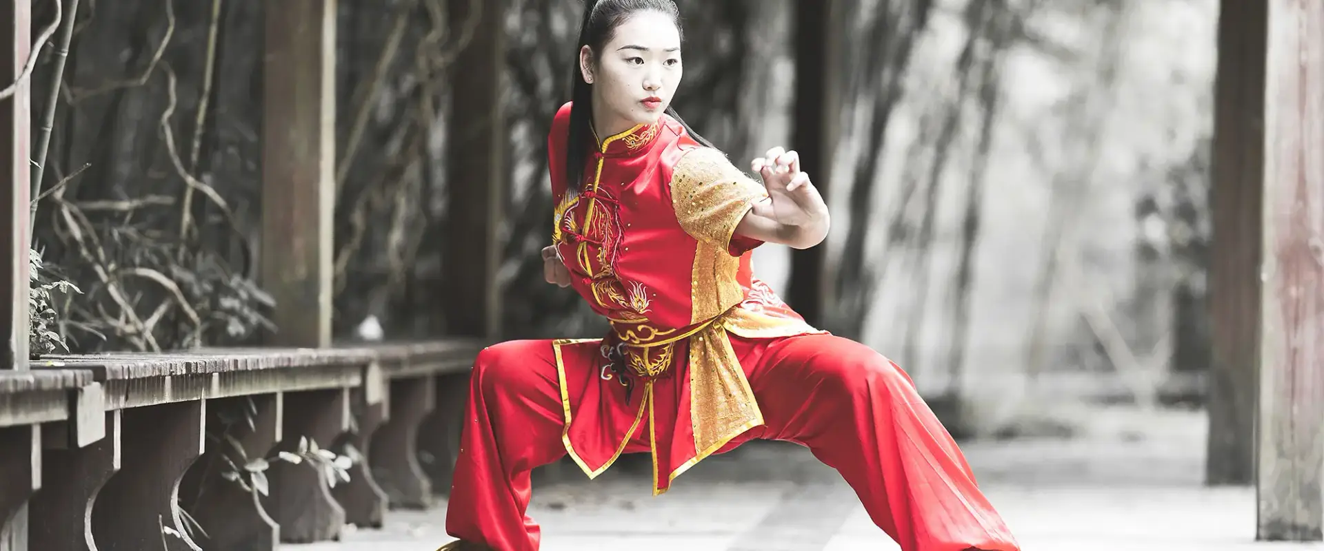 Kung Fu Club Choletais