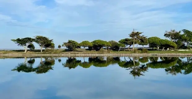 Amyoga