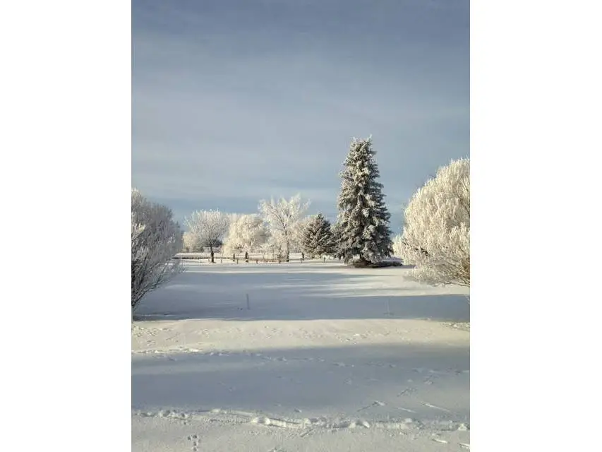 Brooks Golf Club