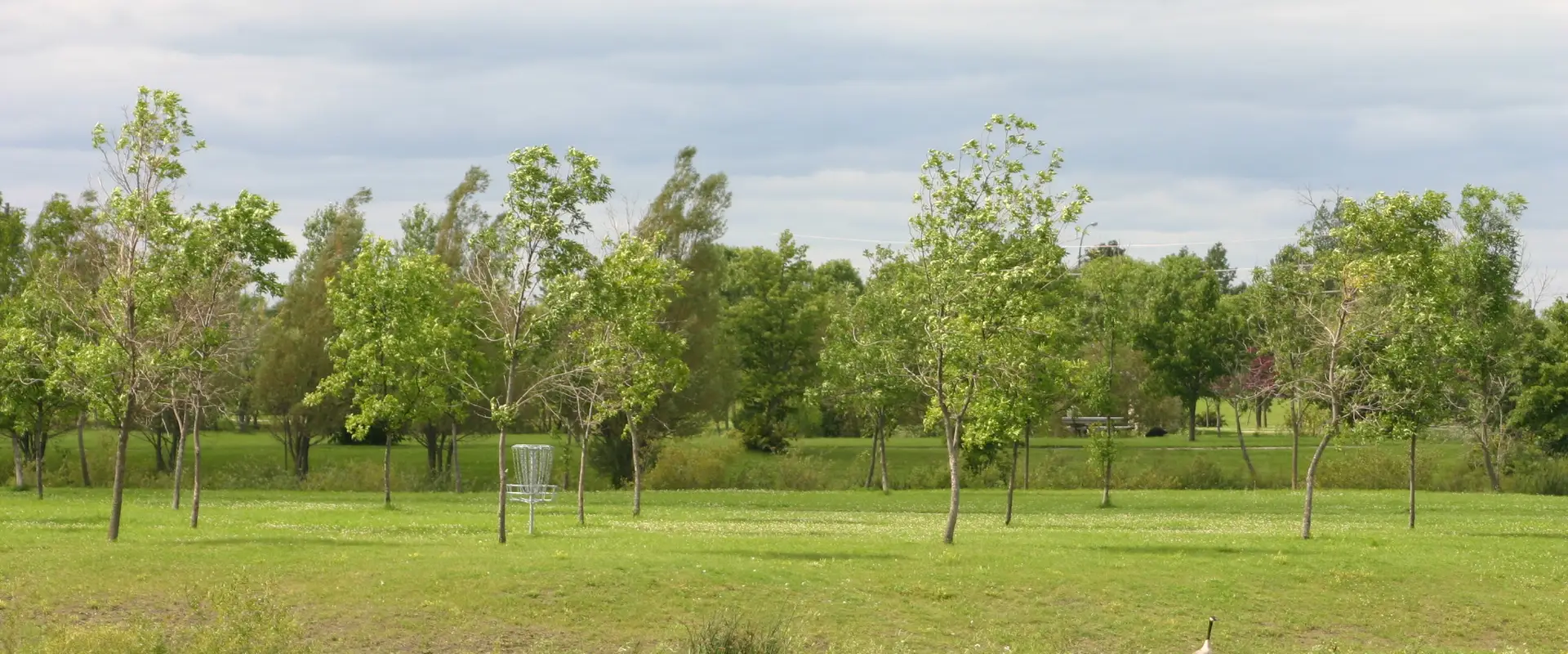 Kilcona Park Lakes Disc Golf