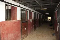 Stables Saint-Martin