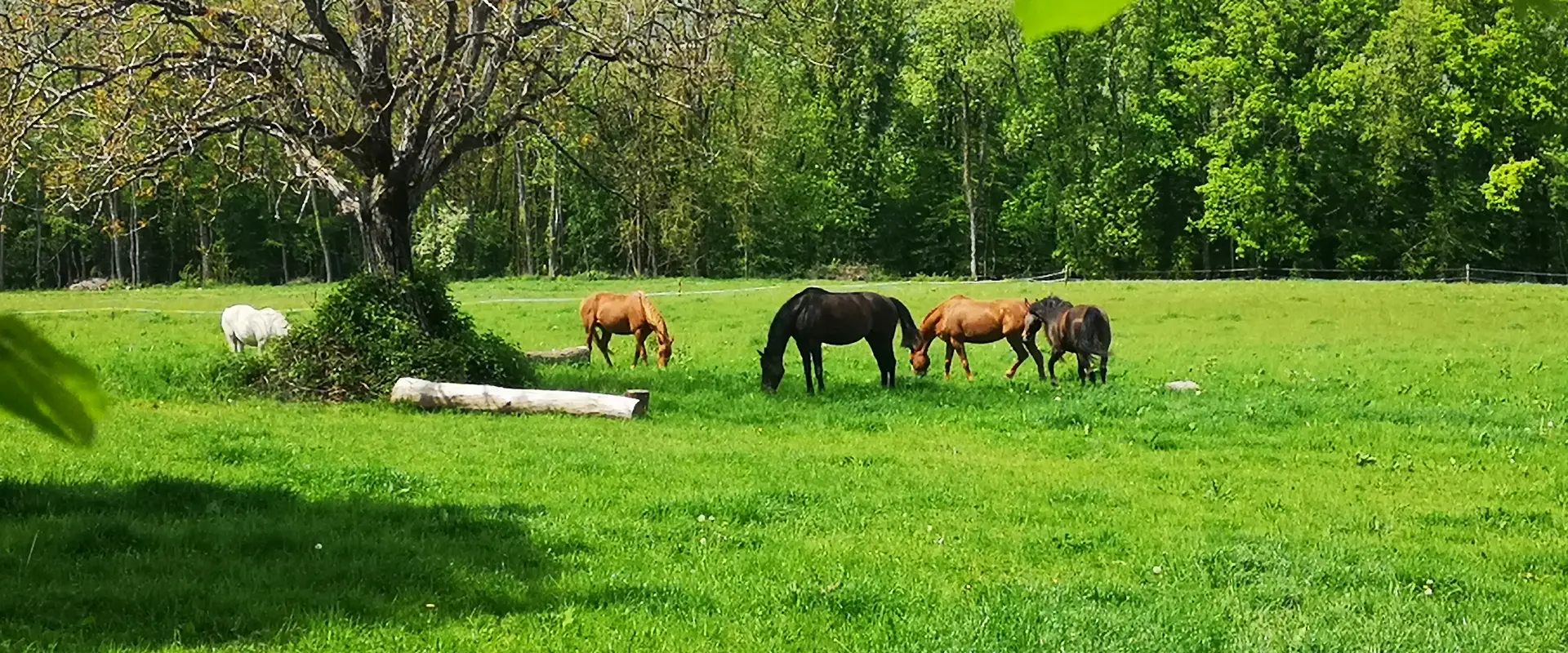 Les Ecuries Du Lac
