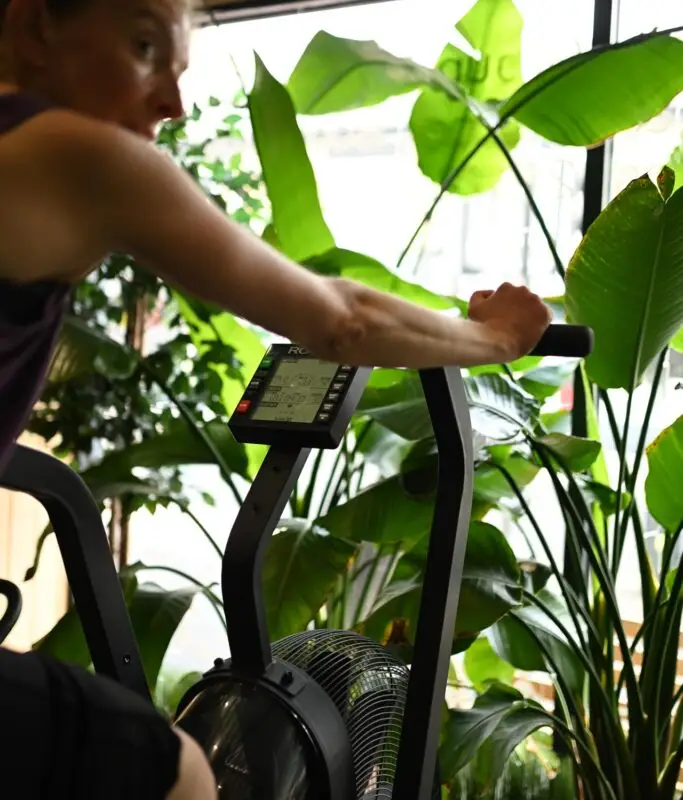 Woods Fitness