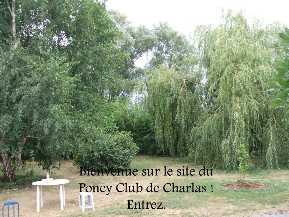 PONEY CLUB DE CHARLAS