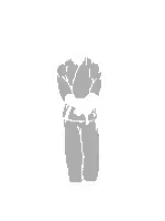 Hertfordshire Karate Centre