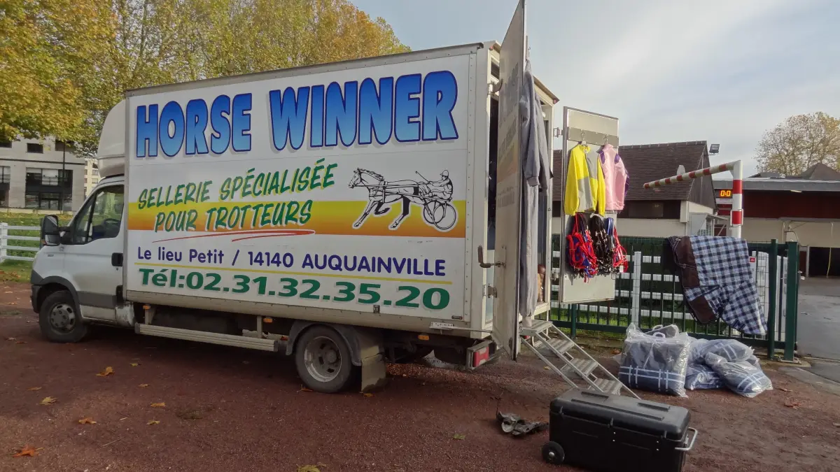 Horse Winner