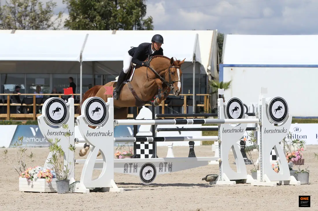 Moseley Equestrian